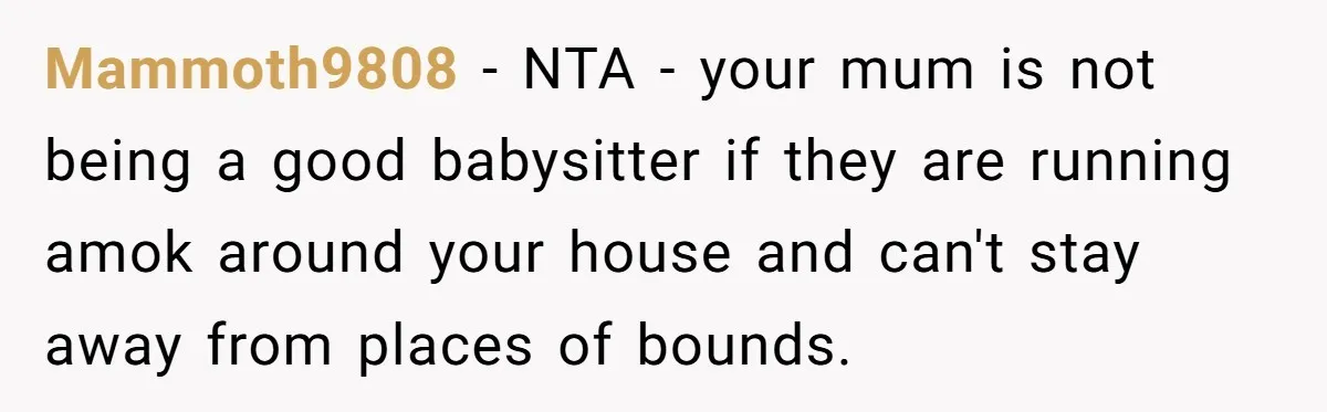 Mammoth9808 − NTA - your mum is not being a good babysitter if they are running amok around your house and can't stay away from places of bounds.