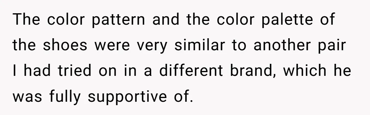 The color pattern and the color palette of the shoes were very similar to another pair I had tried on in a different brand, which he was fully supportive of.