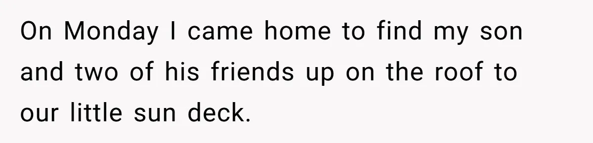 On Monday I came home to find my son and two of his friends up on the roof to our little sun deck.