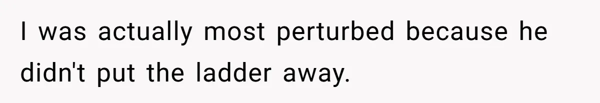 I was actually most perturbed because he didn't put the ladder away.