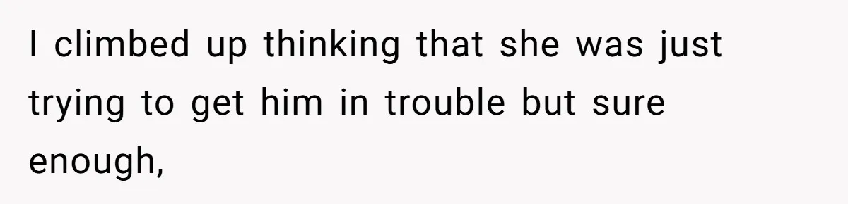 I climbed up thinking that she was just trying to get him in trouble but sure enough,