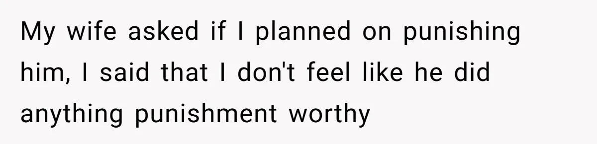 My wife asked if I planned on punishing him, I said that I don't feel like he did anything punishment worthy