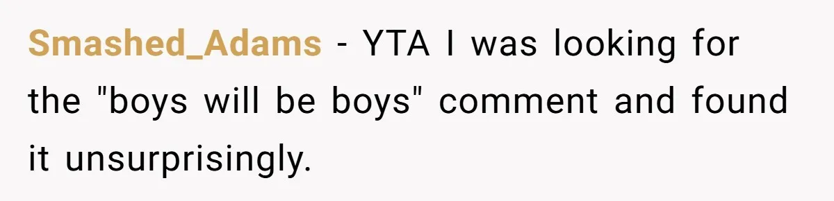 Smashed_Adams − YTA I was looking for the "boys will be boys" comment and found it unsurprisingly.