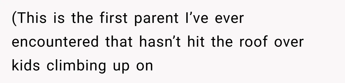 (This is the first parent I’ve ever encountered that hasn’t hit the roof over kids climbing up on
