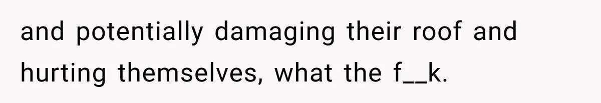 and potentially damaging their roof and hurting themselves, what the f__k.