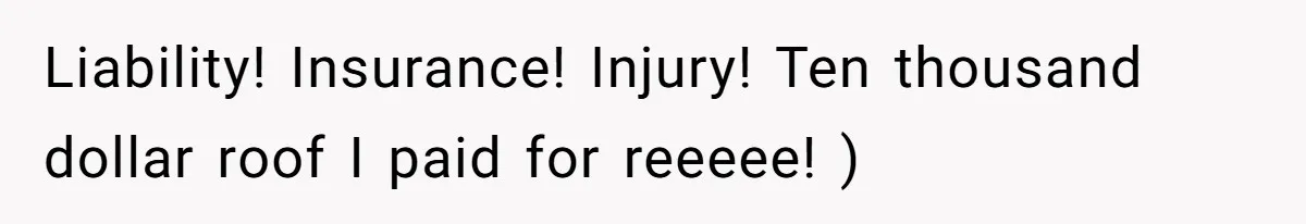 Liability! Insurance! Injury! Ten thousand dollar roof I paid for reeeee! )