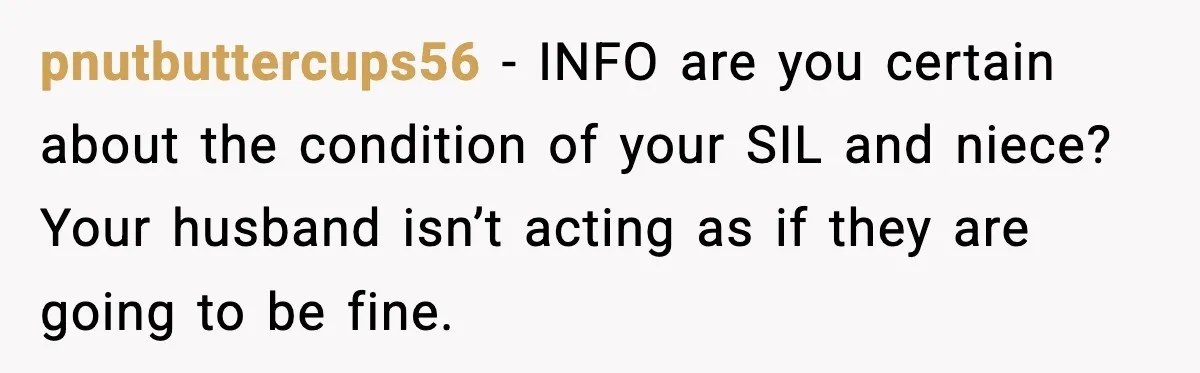 pnutbuttercups56 − INFO are you certain about the condition of your SIL and niece? Your husband isn’t acting as if they are going to be fine.