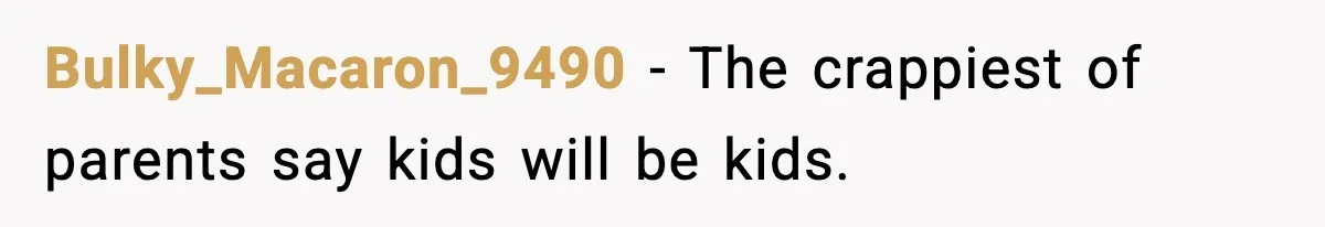 Bulky_Macaron_9490 - The crappiest of parents say kids will be kids.