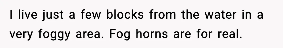 I live just a few blocks from the water in a very foggy area. Fog horns are for real.