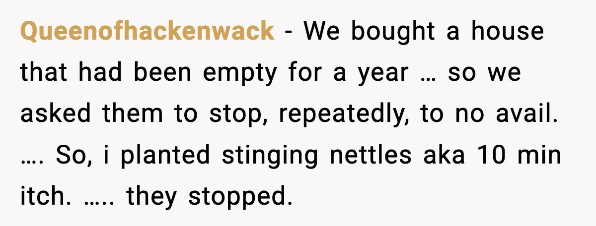 Queenofhackenwack - We bought a house that had been empty for a year … so we asked them to stop, repeatedly, to no avail. …. So, i planted stinging nettles...