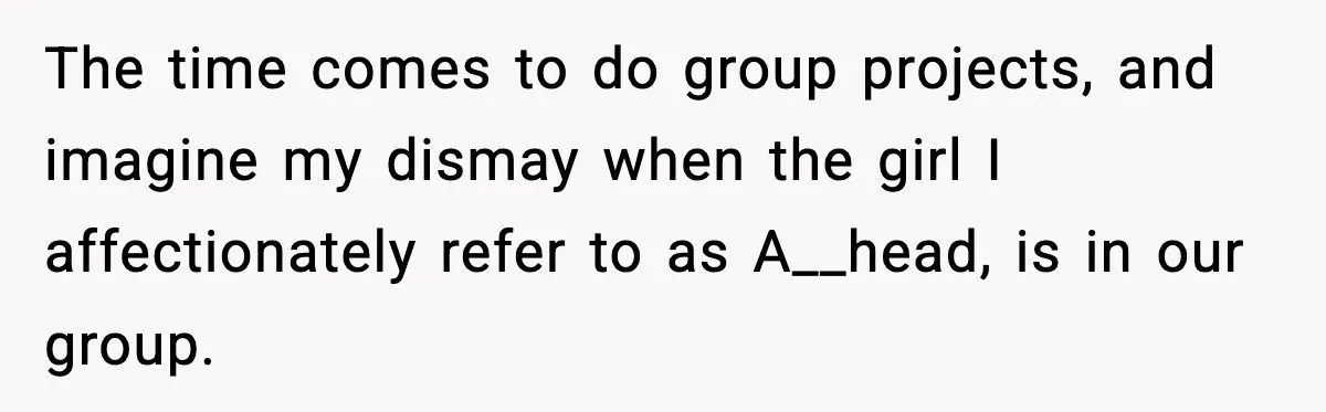 The time comes to do group projects, and imagine my dismay when the girl I affectionately refer to as A__head, is in our group.