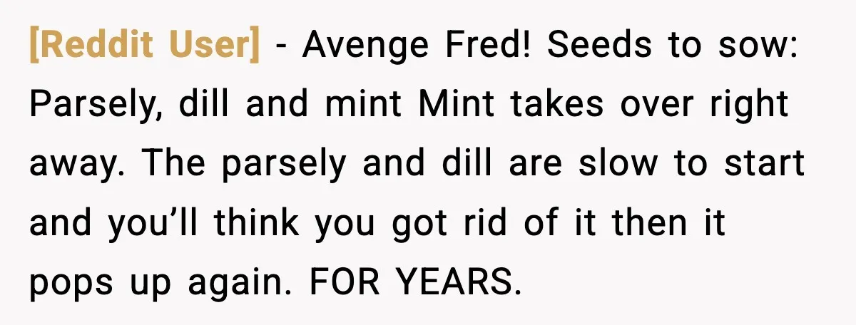 [Reddit User] - Avenge Fred! Seeds to sow: Parsely, dill and mint Mint takes over right away. The parsely and dill are slow to start and you’ll think you got...