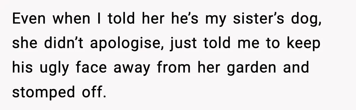 Even when I told her he’s my sister’s dog, she didn’t apologise, just told me to keep his ugly face away from her garden and stomped off.