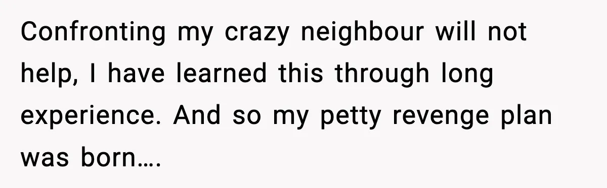 Confronting my crazy neighbour will not help, I have learned this through long experience. And so my petty revenge plan was born….