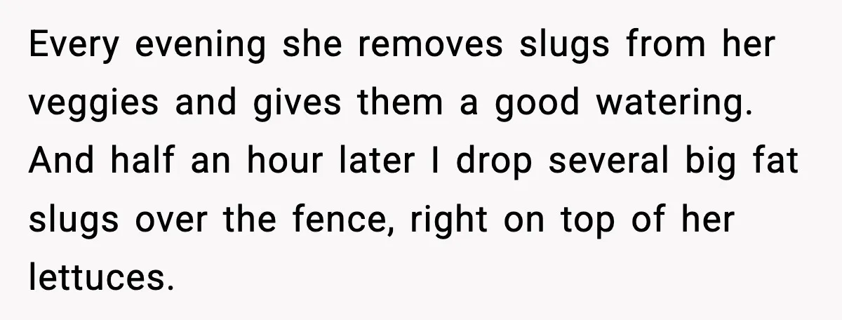 Every evening she removes slugs from her veggies and gives them a good watering. And half an hour later I drop several big fat slugs over the fence, right on...