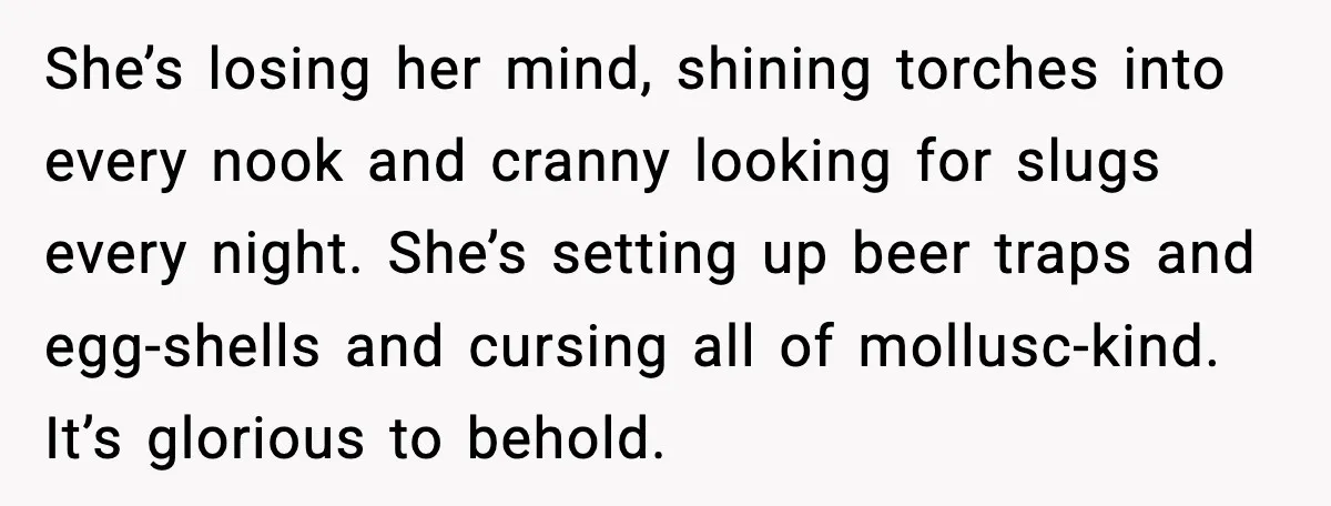 She’s losing her mind, shining torches into every nook and cranny looking for slugs every night. She’s setting up beer traps and egg-shells and cursing all of mollusc-kind. It’s glorious...
