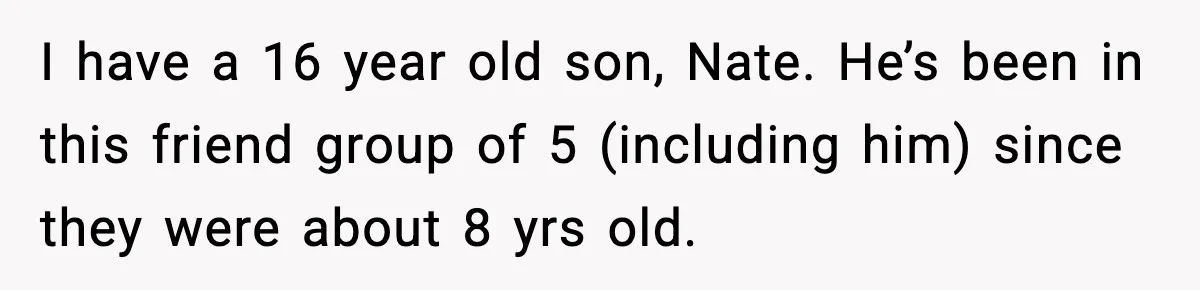 I have a 16 year old son, Nate. He’s been in this friend group of 5 (including him) since they were about 8 yrs old.