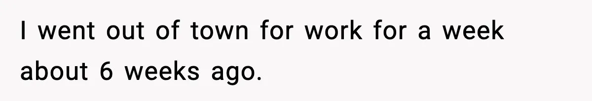 I went out of town for work for a week about 6 weeks ago.