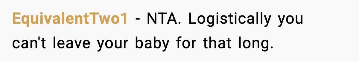 EquivalentTwo1 - NTA. Logistically you can't leave your baby for that long.