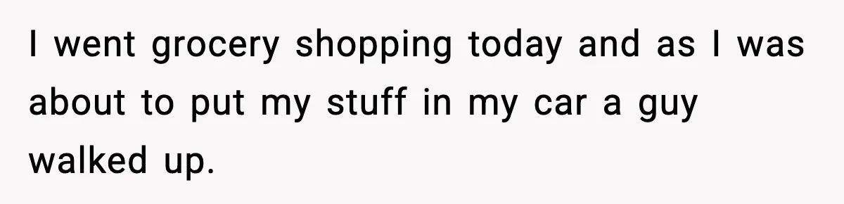 I went grocery shopping today and as I was about to put my stuff in my car a guy walked up.