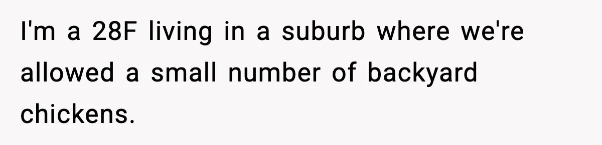 I'm a 28F living in a suburb where we're allowed a small number of backyard chickens.