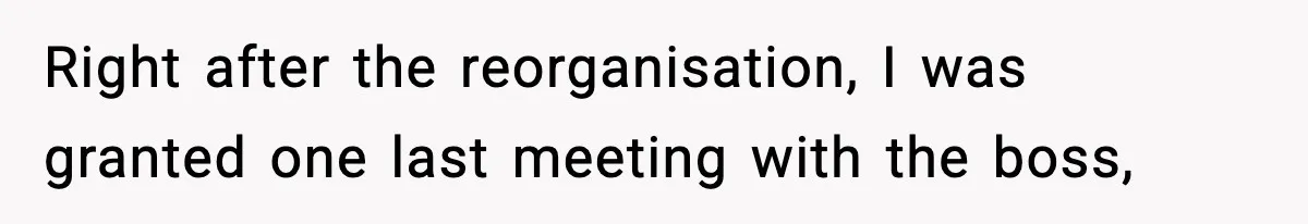 Right after the reorganisation, I was granted one last meeting with the boss,