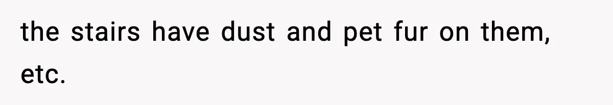 the stairs have dust and pet fur on them, etc.