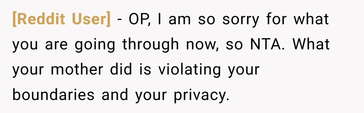[Reddit User] − OP, I am so sorry for what you are going through now, so NTA. What your mother did is violating your boundaries and your privacy.