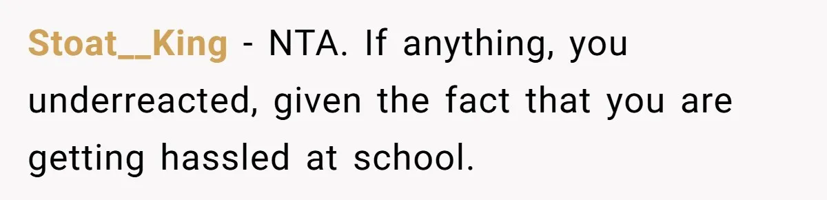 Stoat__King − NTA. If anything, you underreacted, given the fact that you are getting hassled at school.