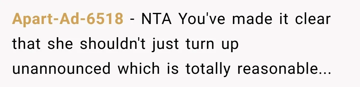 Apart-Ad-6518 − NTA You've made it clear that she shouldn't just turn up unannounced which is totally reasonable...