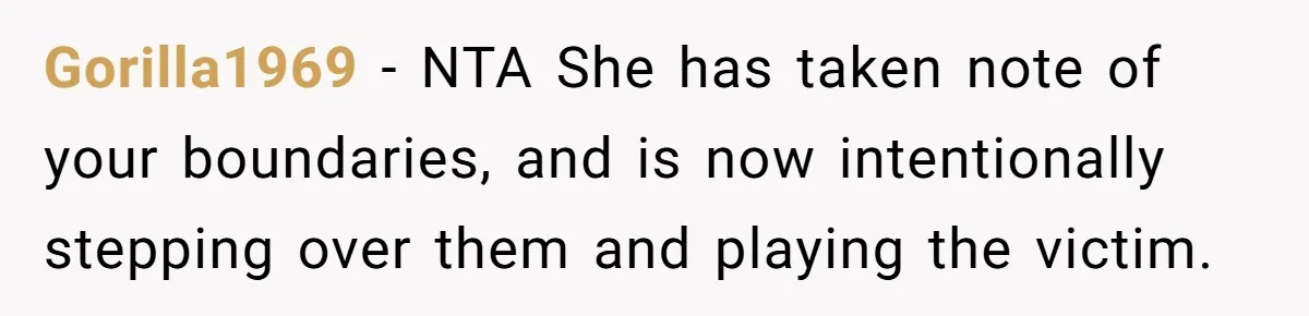 Gorilla1969 − NTA She has taken note of your boundaries, and is now intentionally stepping over them and playing the victim.