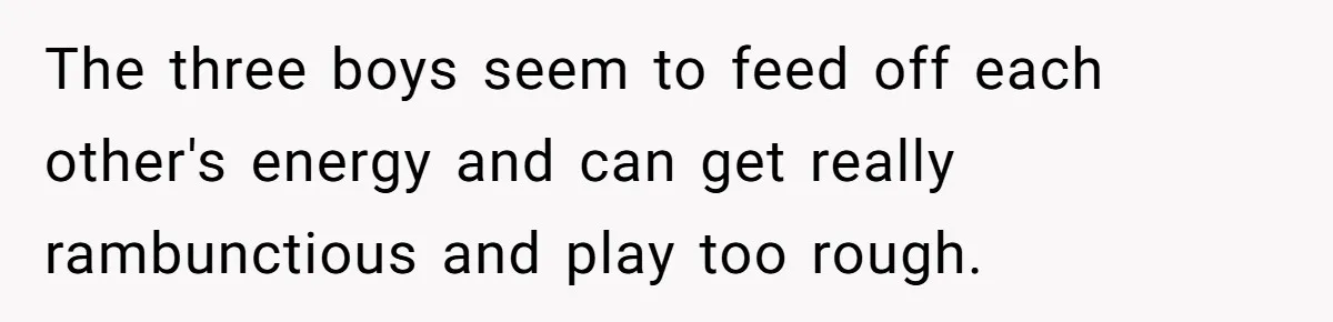 The three boys seem to feed off each other's energy and can get really rambunctious and play too rough.