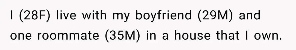 I (28F) live with my boyfriend (29M) and one roommate (35M) in a house that I own.