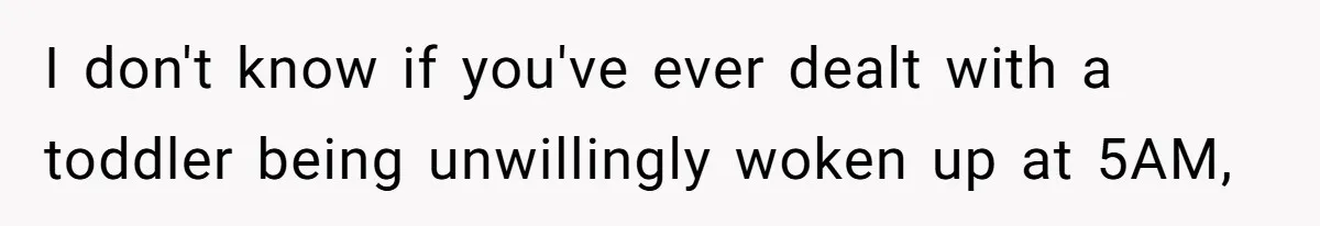I don't know if you've ever dealt with a toddler being unwillingly woken up at 5AM,