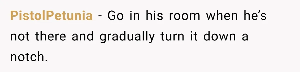PistolPetunia − Go in his room when he’s not there and gradually turn it down a notch.