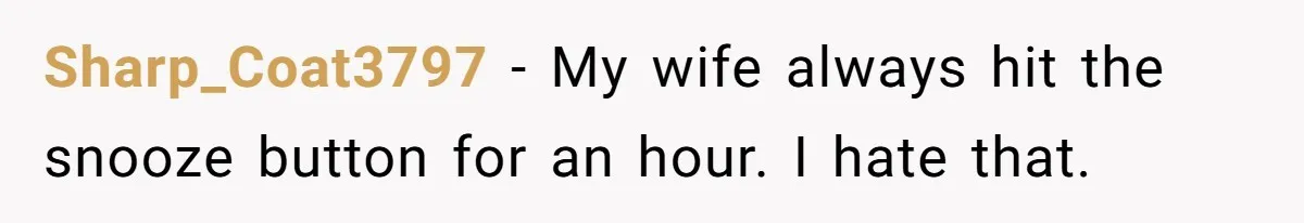 Sharp_Coat3797 − My wife always hit the snooze button for an hour. I hate that.