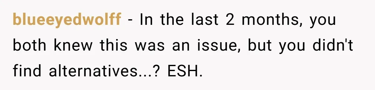 blueeyedwolff − In the last 2 months, you both knew this was an issue, but you didn't find alternatives...? ESH.