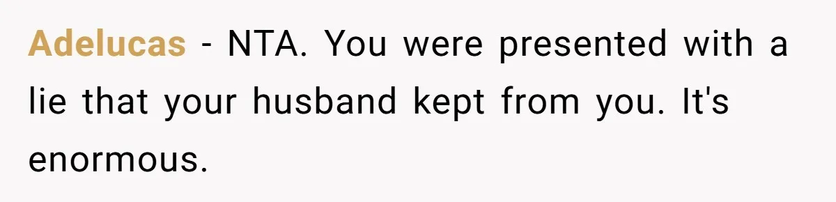 Adelucas − NTA. You were presented with a lie that your husband kept from you. It's enormous.