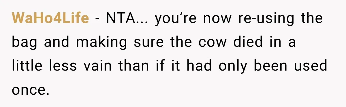 WaHo4Life − NTA... you’re now re-using the bag and making sure the cow died in a little less vain than if it had only been used once.