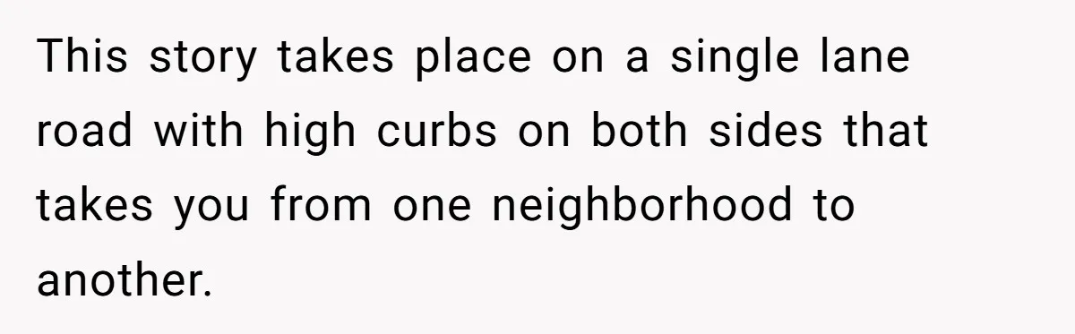 This story takes place on a single lane road with high curbs on both sides that takes you from one neighborhood to another.