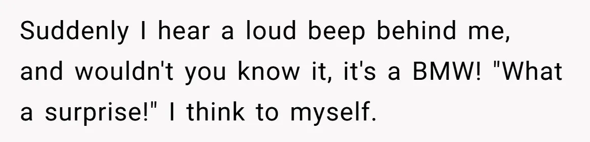 Suddenly I hear a loud beep behind me, and wouldn't you know it, it's a BMW! "What a surprise!" I think to myself.