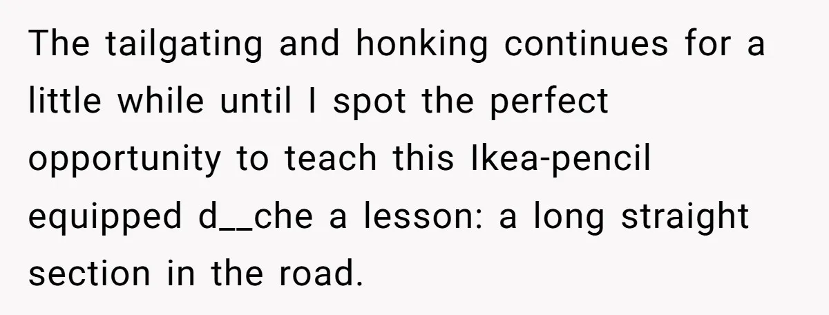 The tailgating and honking continues for a little while until I spot the perfect opportunity to teach this Ikea-pencil equipped d__che a lesson: a long straight section in the road.