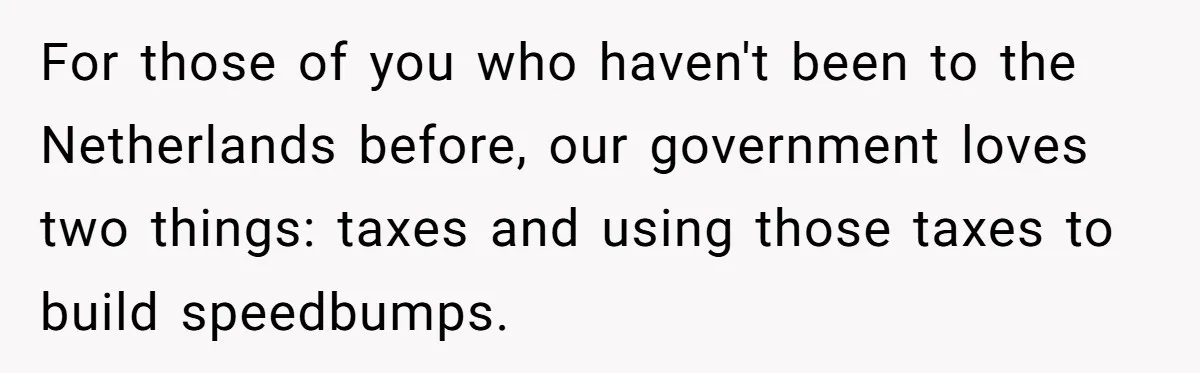 For those of you who haven't been to the Netherlands before, our government loves two things: taxes and using those taxes to build speedbumps.