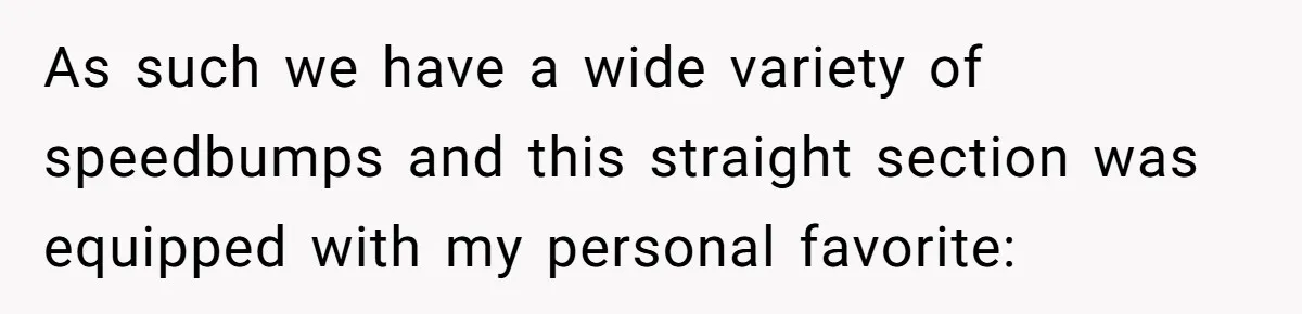 As such we have a wide variety of speedbumps and this straight section was equipped with my personal favorite: