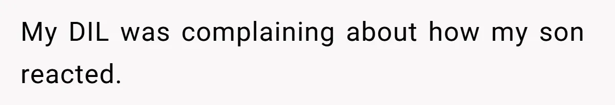 My DIL was complaining about how my son reacted.