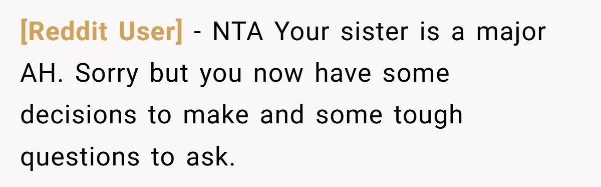 [Reddit User] − NTA Your sister is a major AH. Sorry but you now have some decisions to make and some tough questions to ask.