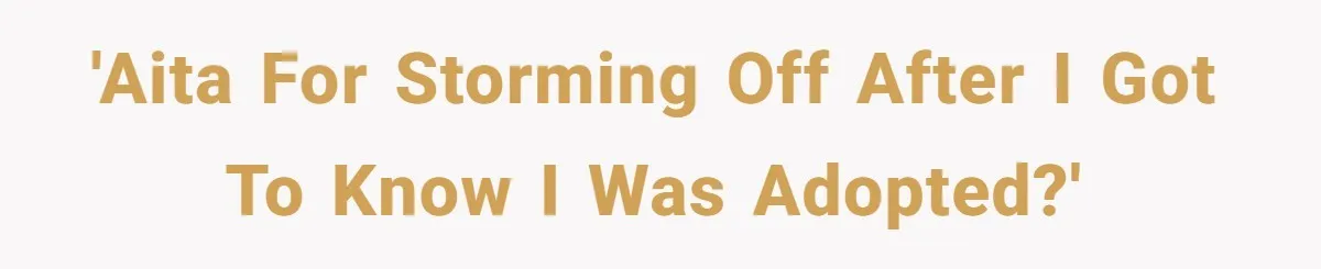 'AITA for storming off after I got to know I was adopted?'