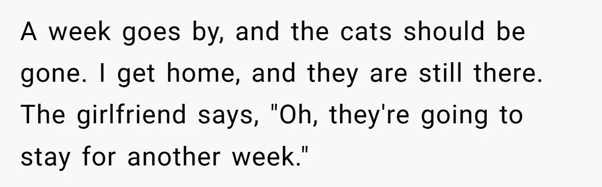 A week goes by, and the cats should be gone. I get home, and they are still there. The girlfriend says, "Oh, they're going to stay for another week."