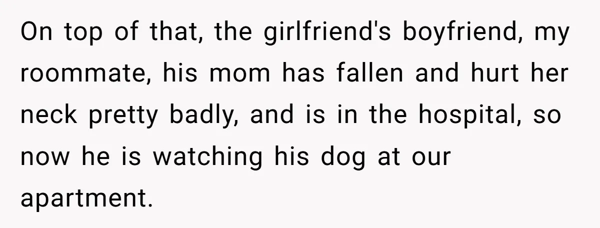 On top of that, the girlfriend's boyfriend, my roommate, his mom has fallen and hurt her neck pretty badly, and is in the hospital, so now he is watching his...