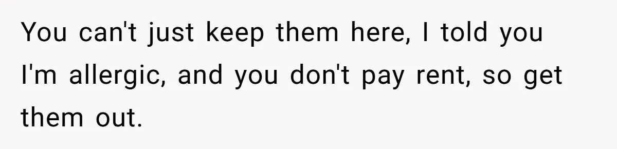 You can't just keep them here, I told you I'm allergic, and you don't pay rent, so get them out.